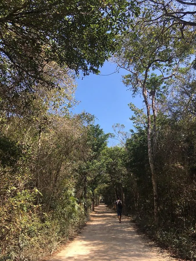 מלון טולום Cabanas Camping Yaxmuul אתר קמפינג